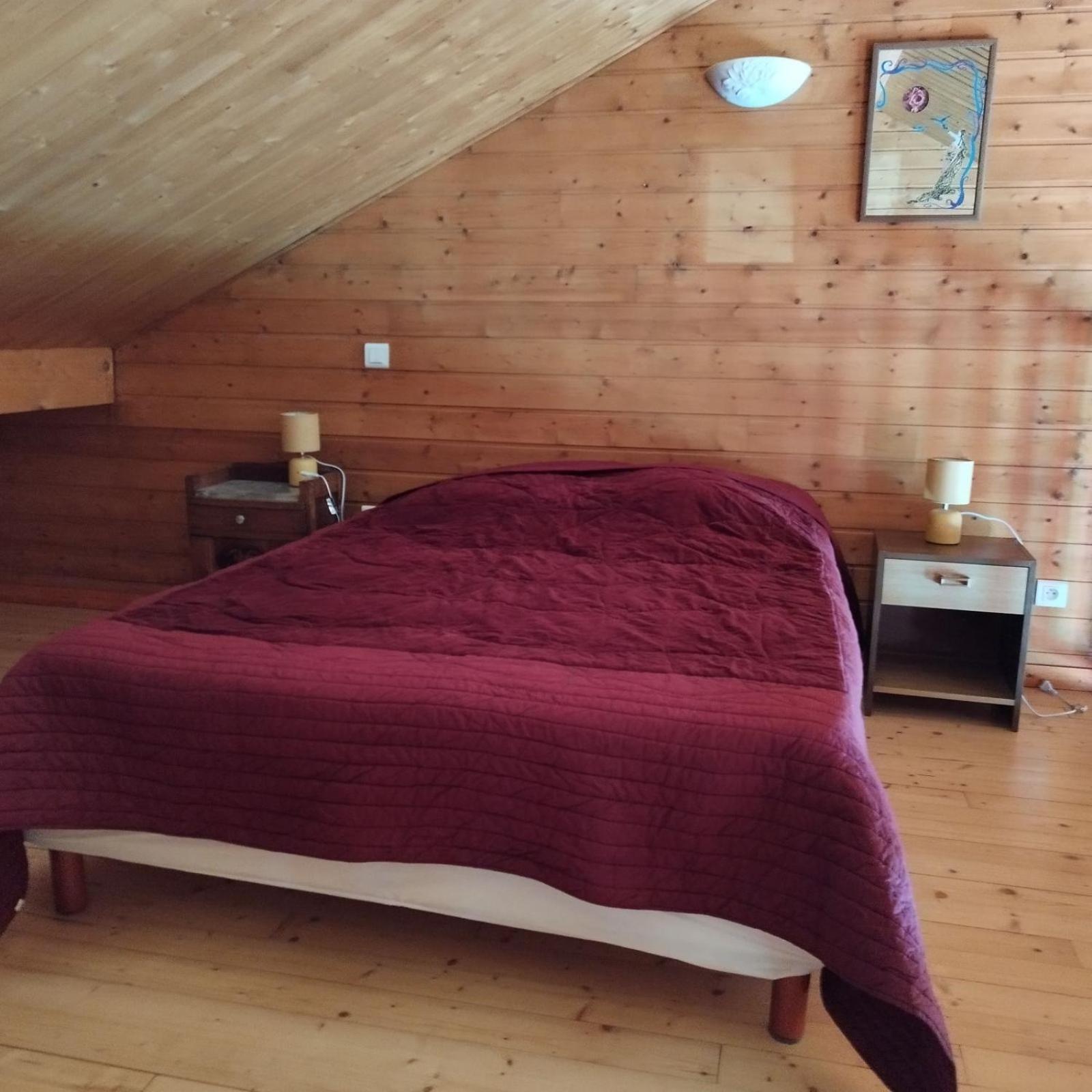 Chalet Les Adrets Du Sancy Saint-Diery Buitenkant foto